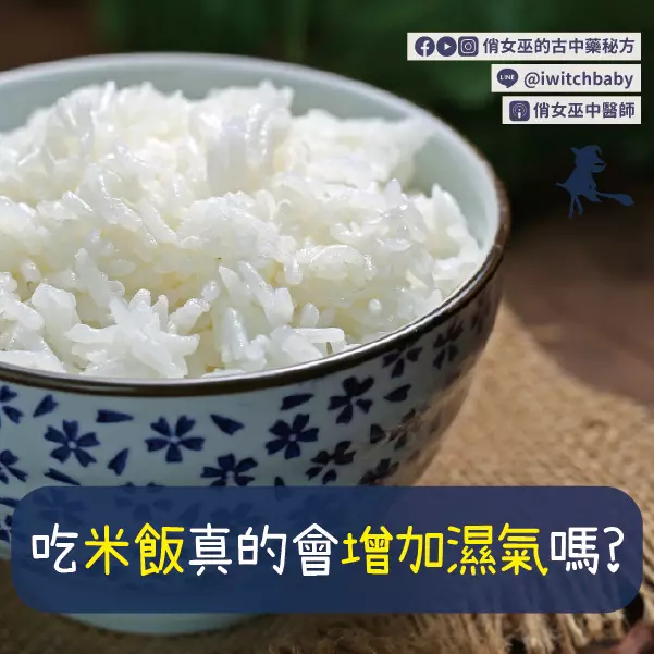 吃米飯真的會增加濕氣嗎？